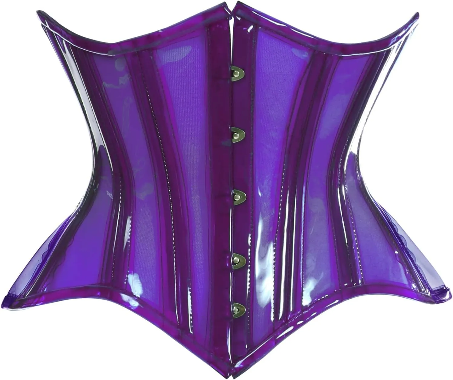 Lavish Clear Curvy Underbust Waist Cincher Corset
